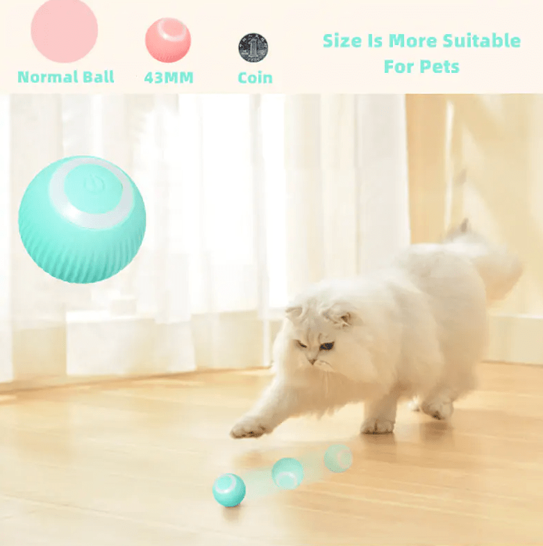 Pllakashop™ Smart Cat Ball Toys - Pllaka Shop#