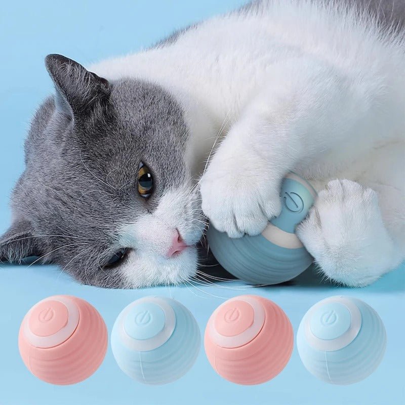 🐱Pllaka™ Smart Cat Ball Toy - Pllaka Shop